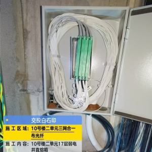 交投白石印入户通信光纤、通信设备工程